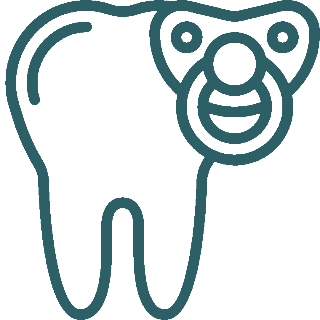 A minimalist bear icon in teal color with simple geometric shapes.